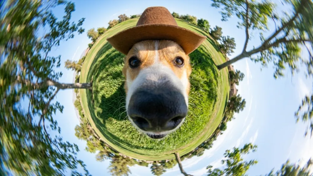 Nano Banana 2 AI Image Generator Showcase - Cowboy Corgi Planet - Hyper-detailed skin texture, accurate lighting angles, true lens simulation.